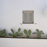 Appartement White W4 New In