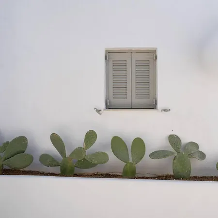 Appartement White W4 New In