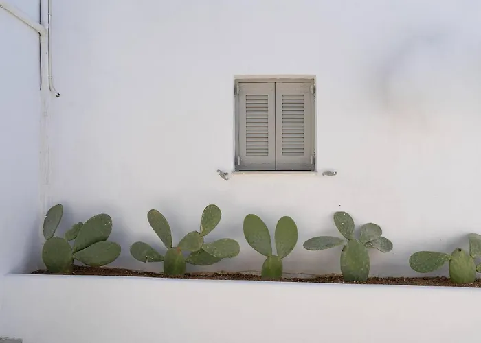 Apartamento White W4 New In